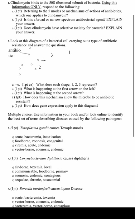 1. Clindamycin binds to the 50S ribosomal subunit of bacteria. Using this information ONLY, respond to the following: a(pt) R