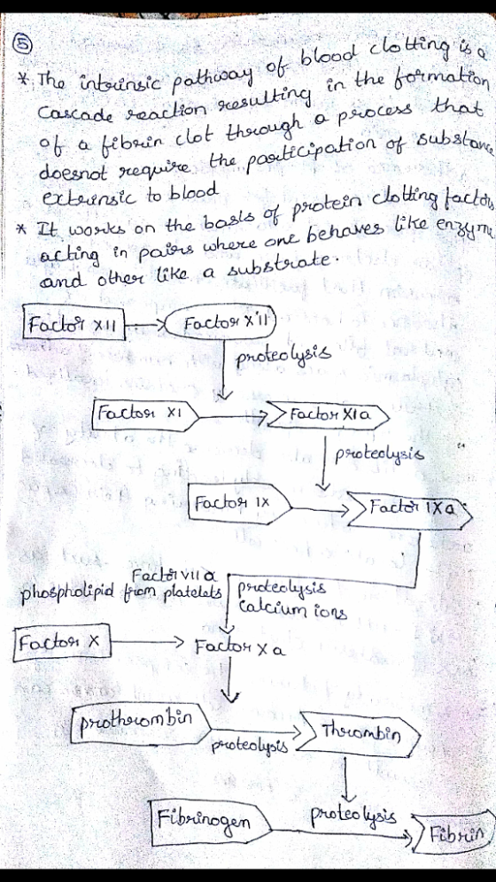 in the otmatto % a biboin clot thsough a process has doesnot ceqe the pos iCpatton af Bubso. extanstic to blood rotesn choting ad arthing tn patrs wohre one behaves Che en Focto Xio Farle vild