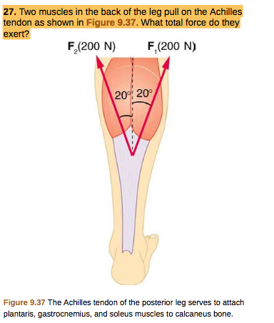 27. Two mus pull on the Achilles tendon as shown in Figure 9.37. What total force do they exert? cles in the back of the leg
