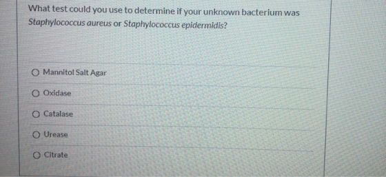 What test could you use to determine if your unknown bacterium was Staphylococcus aureus or Staphylococcus epidermidis? O Man