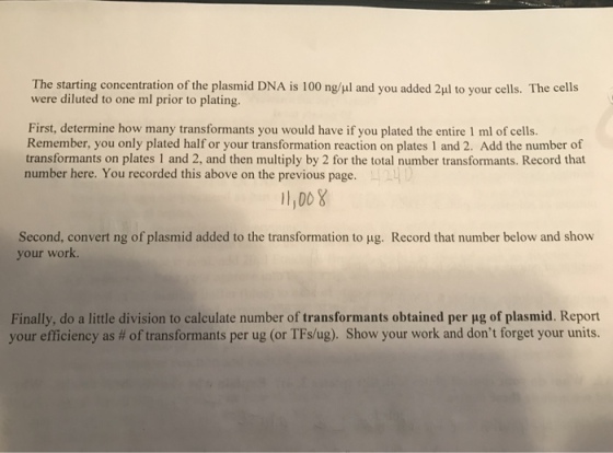 The starting concentration of the plasmid DNA is 100 ngul and you added 2μ1 to your cells. The cells were diluted to one ml prior to plating. First, determine how many transformants you would have if you plated the entire 1 ml of cell:s. Remember, you only plated half or your transformation reaction on plates 1 and 2. Add the number of transformants on plates 1 and 2, and then multiply by 2 for the total number transformants. Record that number here. You recorded this above on the previous page. 1,008 Second, convert ng of plasmid added to the transformation to μg. Record that number below and show your work. Finally, do a little division to calculate number of transformants obtained per μg of plasmid. Report your efficiency as # of transformants per ug (or TFsug). Show your work and dont forget your units.