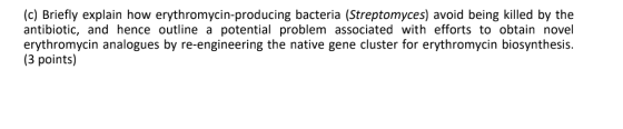 (c) Briefly explain how erythromycin-producing bacteria (Streptomyces) avoid being killed by the antibiotic, and hence outlin