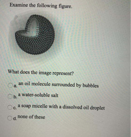 Examine the following figure. What does the image represent? an oil molecule surrounded by bubbles a. Ob. a water-soluble sal