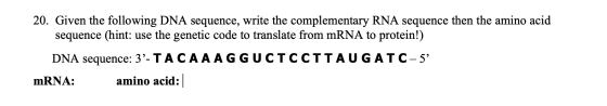 20. Given the following DNA sequence, write the complementary RNA sequence then the amino acid sequence (hint: use the geneti