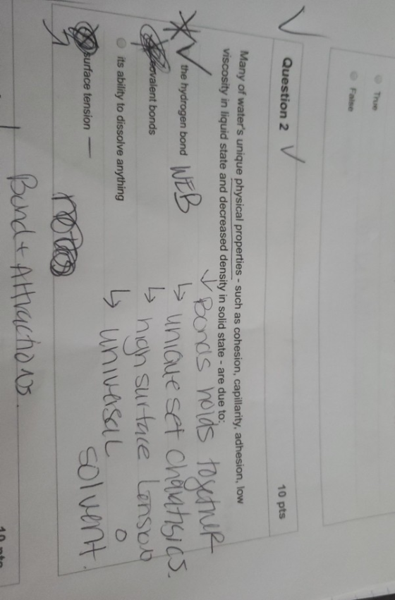 True False Question 2 10 pts Many of waters unique physical properties - such as cohesion, capillarity, adhesion, low viscosity in liquid state and decreased density in solid state-are due to the hydrogen bond hiah su tace unso t bonds O its ability to dissolve anything solvent urface tension