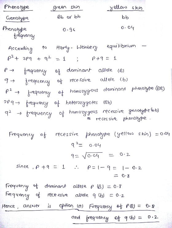 Phenotipe ollovo skin green kin 8b or bb Genotype enotape en ulibrium_ Accoxding oH leintery equlbrium ien dominan allele (8 requen ผุ ot recessive allele (b) 2 homo 2et heerozygofes b) recessive genolytebb) 2 brequency ot homozy gous s reces sive phenotype y ot recessive phendype (yem erlow skin) 0.04 reg ч en cyc 2 O 2 0-2 Fre9venyot dominant aueep B丿こ0.8 Hence, ansNer or) (a) and