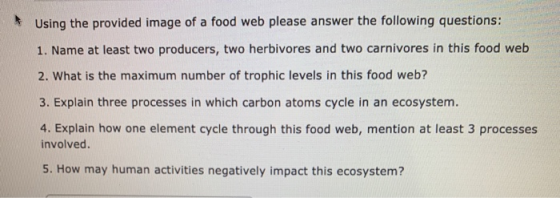 at Using the provided image of a food web please answer the following questions: 1. Name at least two producers, two herbivor