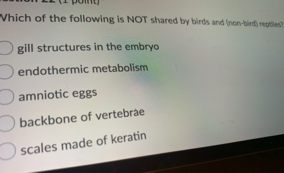 22 Polit) Which of the following is NOT shared by birds and (non-bird) reptiles? gill structures in the embryo endothermic me