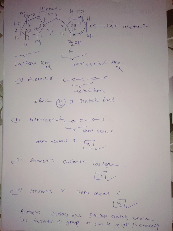 Acetal # Ho M Hemi aletal ... HO/H . I KH 1 | H do 4 Hat H H OH C-H, 04] I Lactone Ring Hemiacetal Ring 7 Acetel s chococo Ac