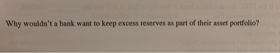 Why wouldnt a bank want to keep excess reserves as part of their asset portfolio?