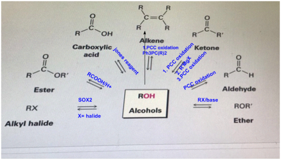 kene PCC oxidation Carboxylic acid Ketone Ph3PC(R)2 PCC oxidation Aldehyde Ester ROH RXIbase ROR Sox2 RX Alcohols X- halide E
