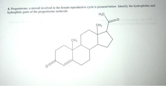 4. Progesterone, a steroid involved in the female reproductive cycle is pictured below. Identify the hydrophobic and hydrophi