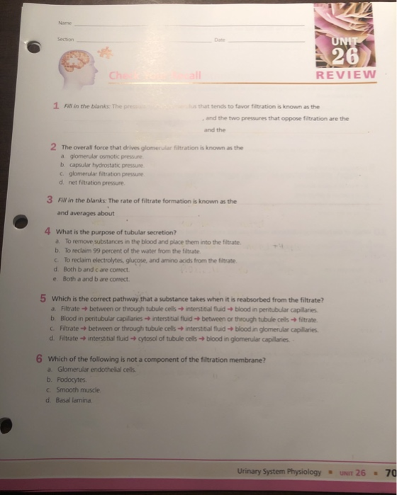 Name Section UNIT Ch all REVIEW 1 Fill in the blanks: The presents us that tends to favor filtration is known as the and the