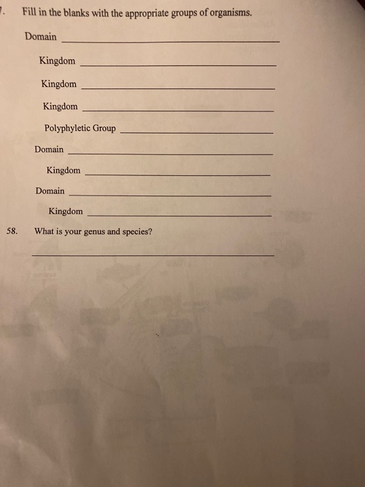 Fill in the blanks with the appropriate groups of organisms. Domain Kingdom Kingdom Kingdom Polyphyletic Group Domain Kingdom