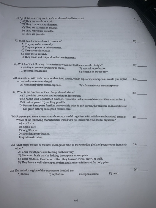 19) All of the following are true about choanoflagellates except 19) A) They are sessile as adults. They live in aquatic habitats C) They are suspension feeders. D) They reproduce sexually E) They are protists. 20) What do all animals have in common? 20) A) They reproduce sexually B) They eat plants or other animals. C) They are multicellular. D) They move around. E) They sense and respond to their environment. 21) Which of the following characteristics would not fadlitate a sessile lifestyle? 21) A) abiity to secrete a poisonous coating B) asexual reproduction D) feeding on motile prey internal fertilization 22) In a habitat with only one abundant food source, which type of metamorphosis would you expect 22) an animal species to undergo? A) hemimetabolous metamorphosis 23) What is the function of the arthropod exoskeleton? 23) A) It provides protection and functions in locomotion. B) It has no well-established function.(Trilobites had an exoskeleton, and they went extinct.) C) It makes growth by molting possible. D) Because hard parts fossilize more readily than-do soft tissues, the presence of an exoskeleton has given arthropods a good fossil record. 24) Suppose you were a researcher choosing a model organism with which to study.animal genetics. 24) Which of the following characteristics would you not look for in your model orgarism? A) small size B) simple diet C) long life span D) abundant reproduction E) quick maturation 25) What major feature or features distinguish most of the wormlike phyla of protostomes from each 25) other? A) Their mouthparts and feeding methods vary B) Metamorphosis may be lacking, incomplete, or complete C) Their modes of locomotion differ-they burrow, swim, crawl, or walk D) They have a well-developed coelom and a tube-within-a-tube body plan 26) The anterior region of the crustaceans is called the 26) A) thorax B) cephalunm ) cephalothorax D)head A-4