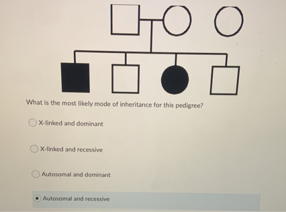 НО O What is the most likely mode of inheritance for this pedigree? X-linked and dominant X-linked and recessive Autosomal an