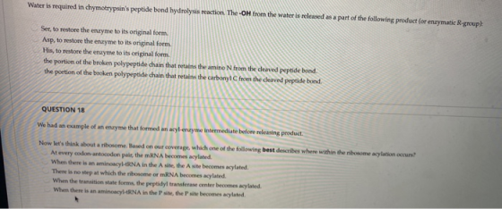 Water is required in chymotrypsins peptide bond hydrolysis reaction. The-OH from the water is released as a part of the foll