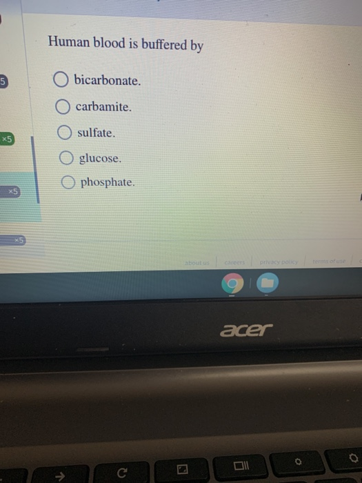 Human blood is buffered by O bicarbonate. O carbamite. O sulfate. O glucose. o phosphate. acer