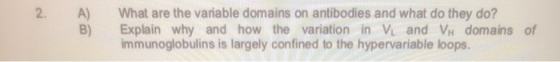 2. A) What are the variable domains on antibodies and what do they do? Explain why and how the variation in Vi and VH domains