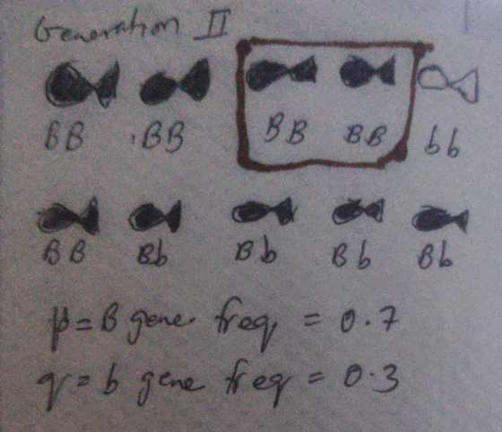 Generation II БB Bg Bв вв. на ни я 99 а 18 19 to = bay mab gaf y: b 3c fer 2013