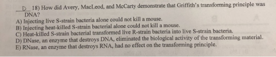 D 18) How did Avery, MacLeod, and McCarty demonstrate that Griffiths transforming principle was DNA? A) Injecting live S-str