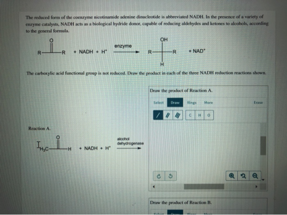 The reduced form of the coenzyme nicotinamide adenine dinucleotide is abbreviated NADH. In the presence of a variety of enzym