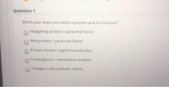 Question 1 Which pair does not match a protein and its function? Hedgehog protein / paracrine factor Wnt protein / paracrine