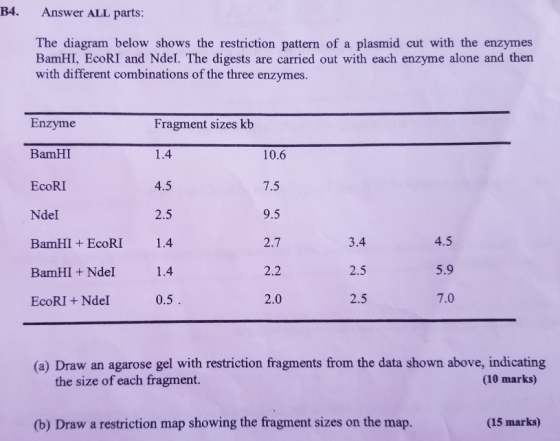 B4. Answer ALL parts: The diagram below shows the restriction pattern of a plasmid cut with the enzymes BamHI, EcoRI and Ndel