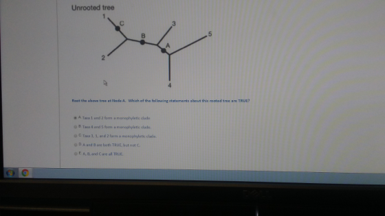 Root the above tree at Node A. Which of the follow