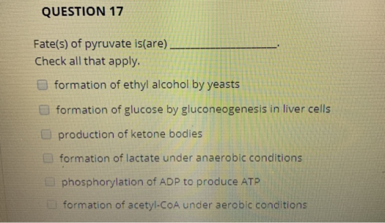 QUESTION 17 Fate(s) of pyruvate is(are) Check all that apply. formation of ethyl alcohol by yeasts formation of glucose by gl