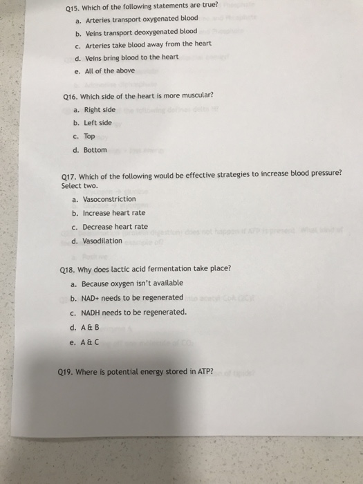 Q15. Which of the following statements are true? a. Arteries transport oxygenated blood b. Veins transport deoxygenated blood c. Arteries take blood away from the heart d. Veins bring blood to the heart e. All of the above Q16. Which side of the heart is more muscular? a. Right side b. Left side c. Top d. Bottom Q17. Which of the following would be effective strategies to increase blood pressure? Select two. a. Vasoconstriction b. Increase heart rate c. Decrease heart rate d. Vasodilation Q18. Why does lactic acid fermentation take place? a. Because oxygen isnt available b. NAD+ needs to be regenerated c. NADH needs to be regenerated. d. A& B e. A&C Q19. Where is potential energy stored in ATP?