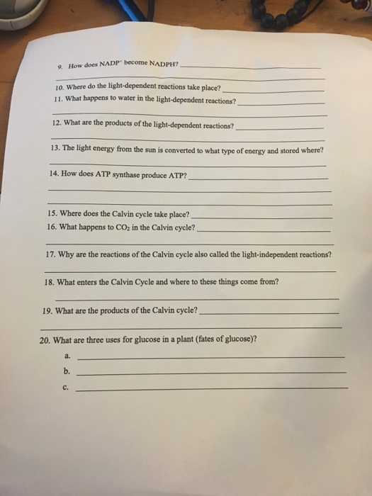 How does NADP become NADPH? 10. Where do the light-dependent reactions take place? 11. What happens to water in the light-dep