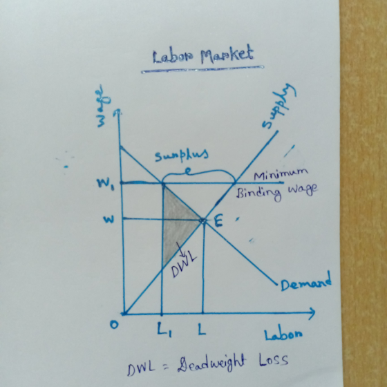 Labor Market hom Surplus 3 Minimum Binding wage emand • L L Labon DWL = Deadweight Loss