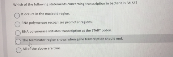 Which of the following statements concerning transcription in bacteria is FALSE? It occurs in the nucleoid region. RNA polyme