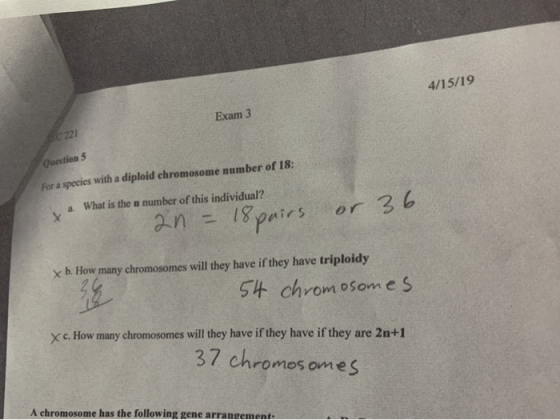4/15/19 Exam 3 Sc 221 Question 5 For a species with a diploid chromosome number of 18: What is then number of this individual