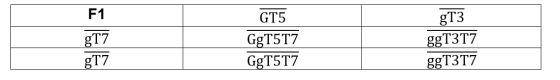 F1 g17 gT7 GT5 GgT5T7 GgT5T7 gT3 ggT3T7 ggT3T7
