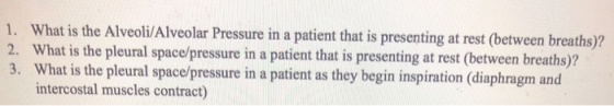 1. What is the 2. What is the pleural space/pressure in a patient that is presenting at rest (between breaths)? e Alveoli/Alv