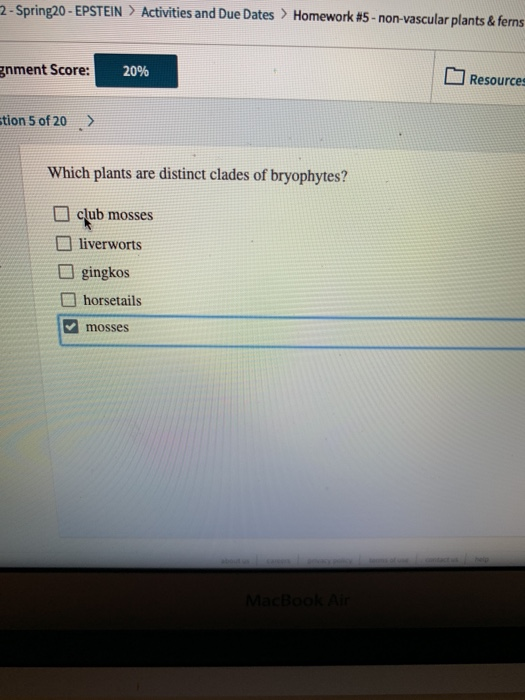 2- Spring 20 - EPSTEIN > Activities and Due Dates > Homework #5 - non-vascular plants & ferns gnment Score: 20% Resource tion