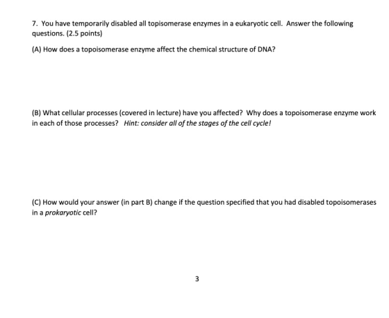 7. You have temporarily disabled all topisomerase enzymes in a eukaryotic cell. Answer the following questions. (2.5 points)