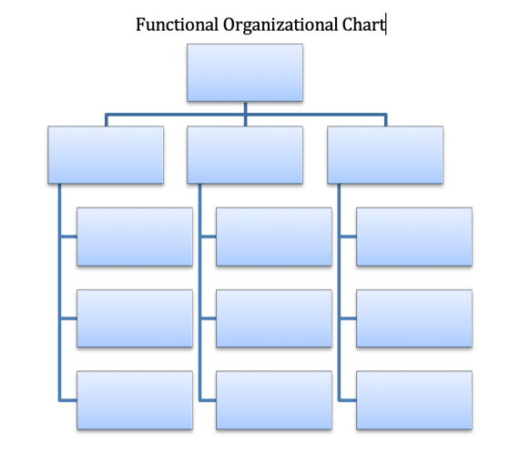 Functional Organizational Chart