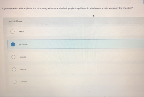 If you wanted to kill the plants in a lake using a chemical which stops photosynthesis, to which zone should you apply the ch