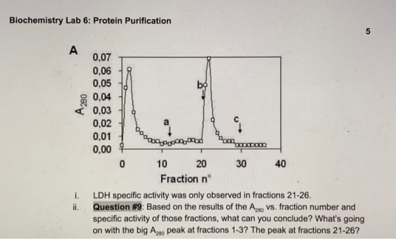 Biochemistry Lab 6: Protein Purification 0,07 0,06 0,05 0 po A280 Tot 0,04 0,03 0,02 0,01 Dం,000 tom, 0000000 0,00 10 20 30 F