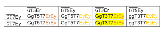 GT5Er GT5Ey GT3Er GT5Ey GT7Ey GgT5T7ErEy GgT5T7EyEy GgT3T7ErEy ggT3T7EyEy GT7Ey GgT5T7ErEy GgT5T7EyEy GgT3T7ErEy ggT3T7EyEy