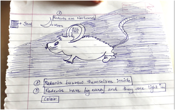 Rodents Que Nocturnal ② ② Rodents burrow themselves inside Rodents have big ears and they color] are light in