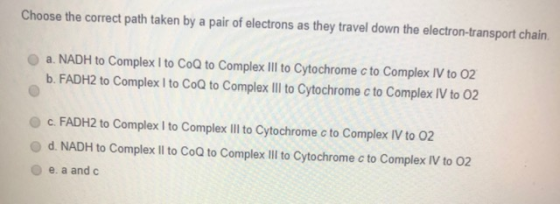 Choose the correct path taken by a pair of electrons as they travel down the electron-transport chain a. NADH to Complex I to