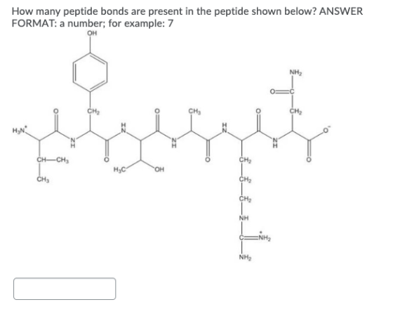 How many peptide bonds are present in the peptide shown below? ANSWER FORMAT: a number; for example: 7 0- CH-CH3 нсон CH NH2