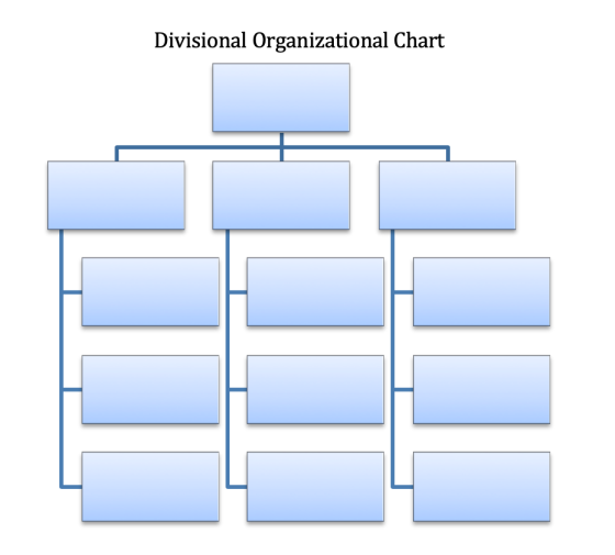 Divisional Organizational Chart