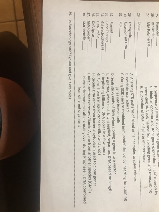 25. Promoter 26. Replication 27. RNA Polymerase F. Sequence of DNA that controls gene express G. binds an operator and stops