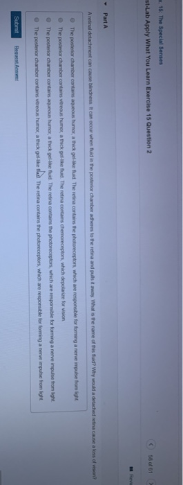 15: The Special Senses St-Lab Apply What You Learn Exercise 15 Question 2 ③ sodat C - Part A Aretinaldelacrent can cause hind