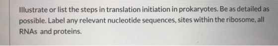 Illustrate or list the steps in translation initiation in prokaryotes. Be as detailed as possible. Label any relevant nucleot